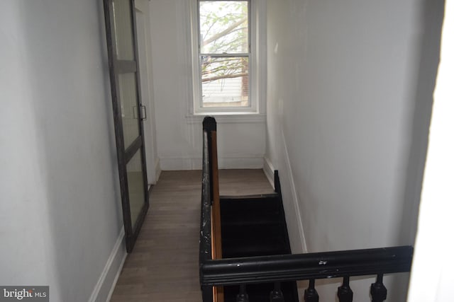 stairs featuring hardwood / wood-style floors