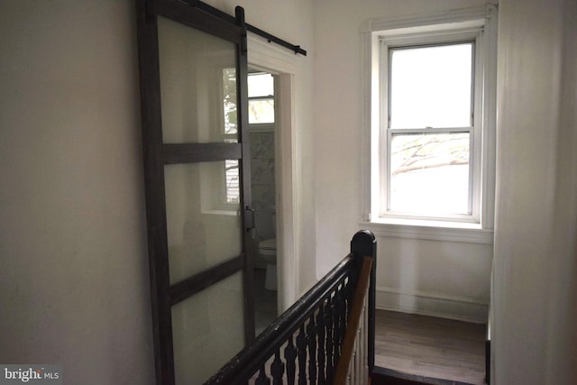 hall featuring a barn door, a wealth of natural light, and wood-type flooring