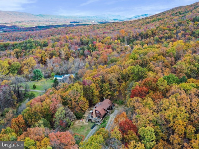 birds eye view of property featuring a mountain view