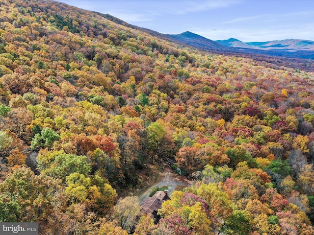 831 Stephens Ln, Fort Valley, VA 22652 - view of mountain backdrop with a heavily wooded area