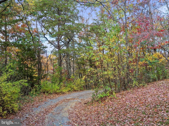 view of road