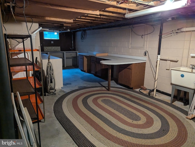 basement with sink