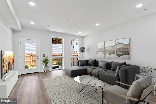 living room featuring dark hardwood / wood-style floors