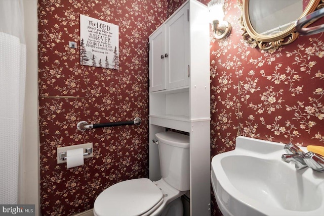 355 Orchard Dr, Mount Jackson, VA 22842 - bathroom featuring a sink, toilet, and wallpapered walls