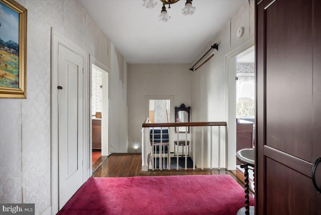 355 Orchard Dr, Mount Jackson, VA 22842 - hallway featuring wood finished floors and healthy amount of natural light
