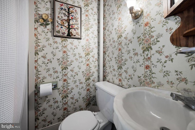 355 Orchard Dr, Mount Jackson, VA 22842 - bathroom featuring wallpapered walls, toilet, and a sink