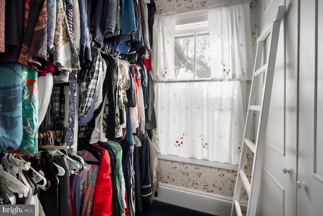 355 Orchard Dr, Mount Jackson, VA 22842 - view of spacious closet