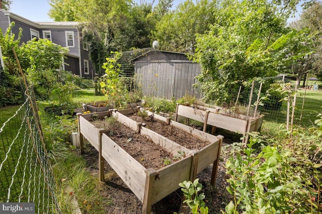 view of yard featuring a storage unit