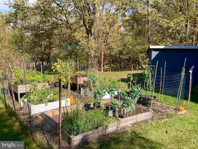 355 Orchard Dr, Mount Jackson, VA 22842 - view of yard with a vegetable garden