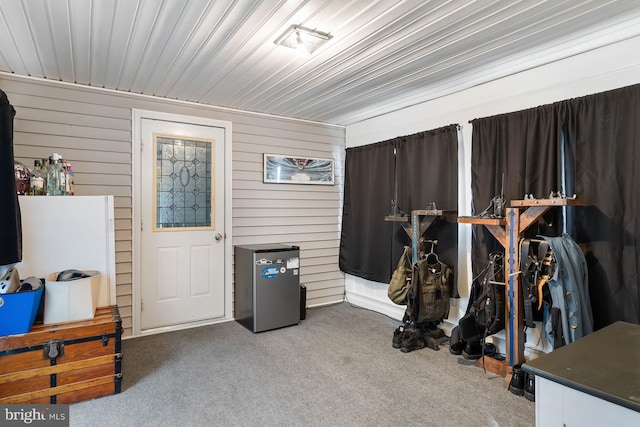 miscellaneous room with light colored carpet