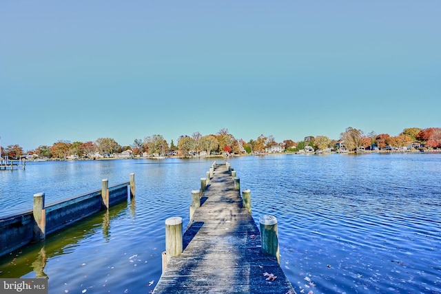 dock area with a water view