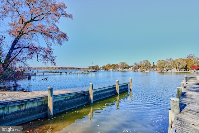 dock area featuring a water view