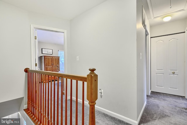 hallway with carpet flooring