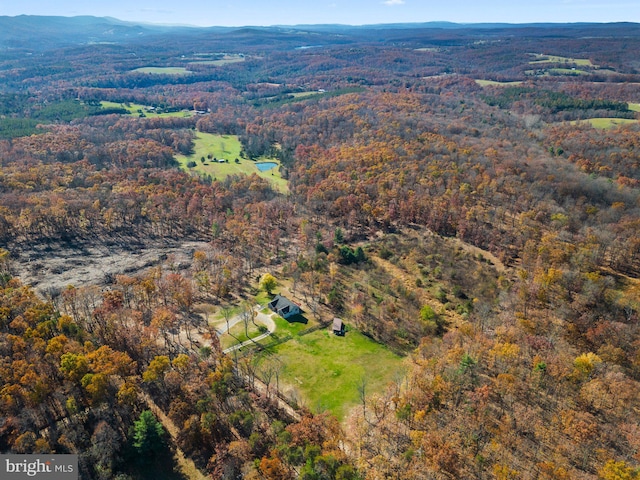 birds eye view of property featuring a mountain view