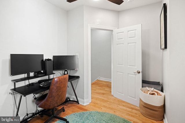 office featuring hardwood / wood-style flooring and ceiling fan