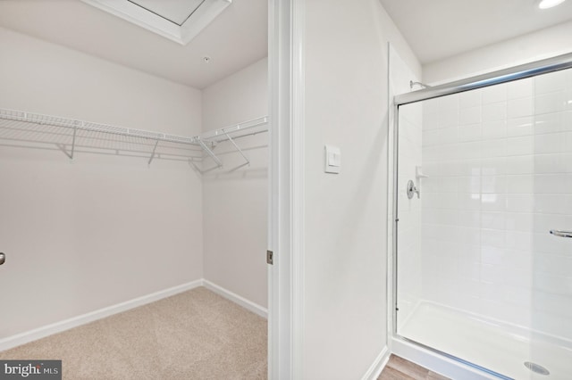 spacious closet featuring light carpet