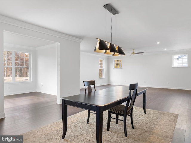 dining area featuring ornamental molding, hardwood / wood-style floors, and ceiling fan