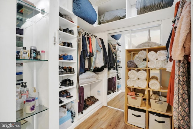 walk in closet with light hardwood / wood-style flooring