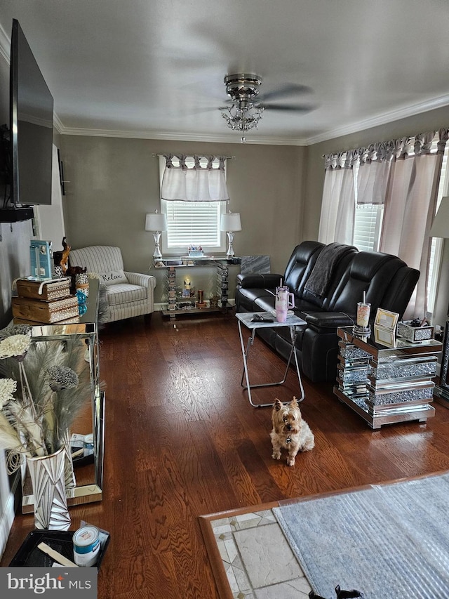 living room featuring wood-type flooring, ceiling fan, and crown molding