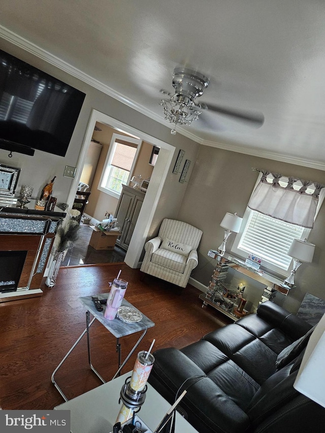 living room with dark hardwood / wood-style floors and ornamental molding