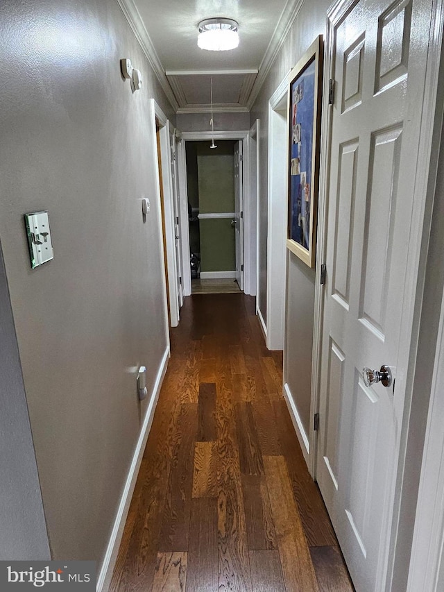 corridor with crown molding and dark hardwood / wood-style flooring