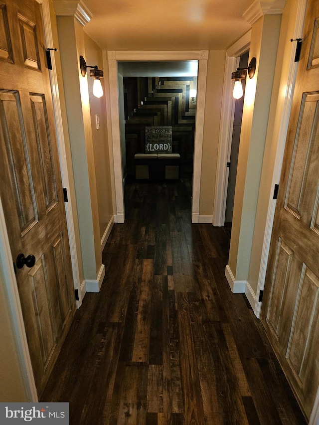 corridor with dark hardwood / wood-style floors and ornamental molding