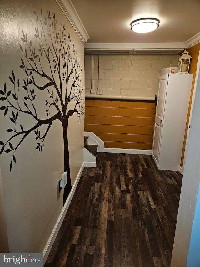 corridor with dark hardwood / wood-style flooring and crown molding