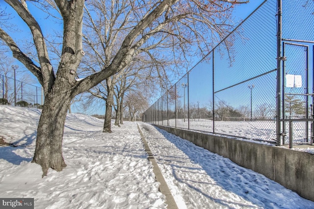 view of yard layered in snow