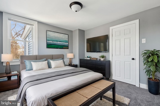 bedroom featuring carpet floors