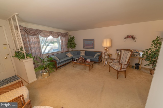 living room featuring carpet floors