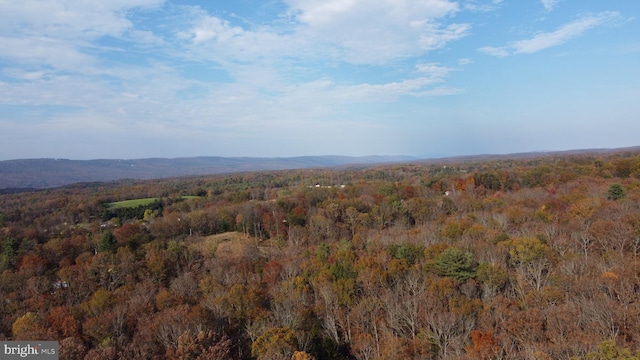 view of mountain feature