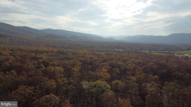 view of mountain feature