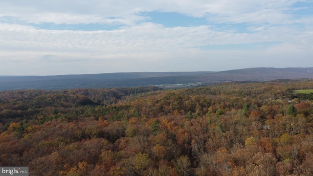 view of mountain feature