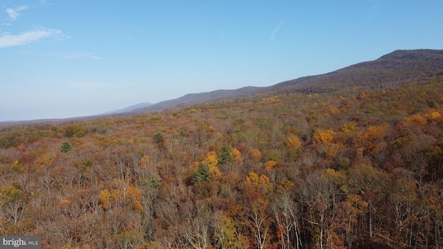 view of mountain feature