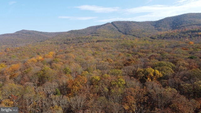 property view of mountains