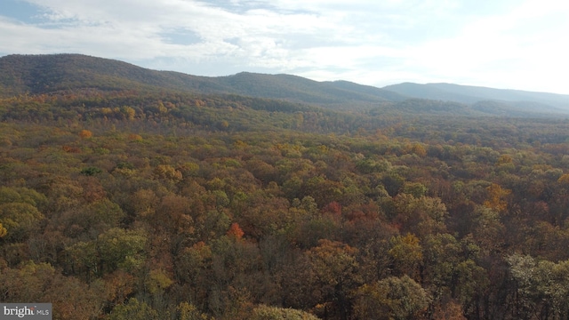 view of mountain feature