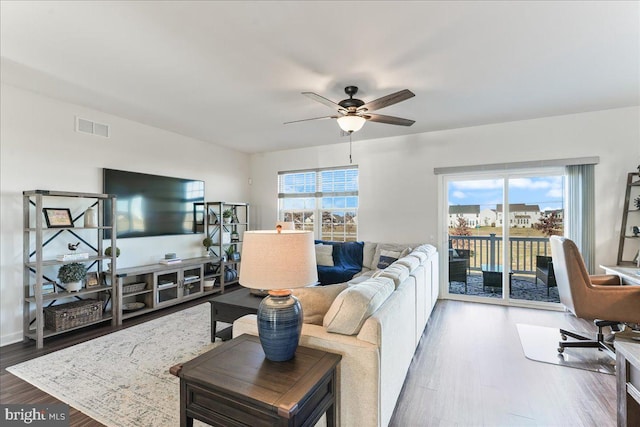 living room with plenty of natural light, dark wood-type flooring, and ceiling fan