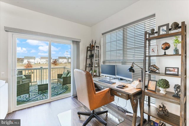 office featuring light hardwood / wood-style flooring