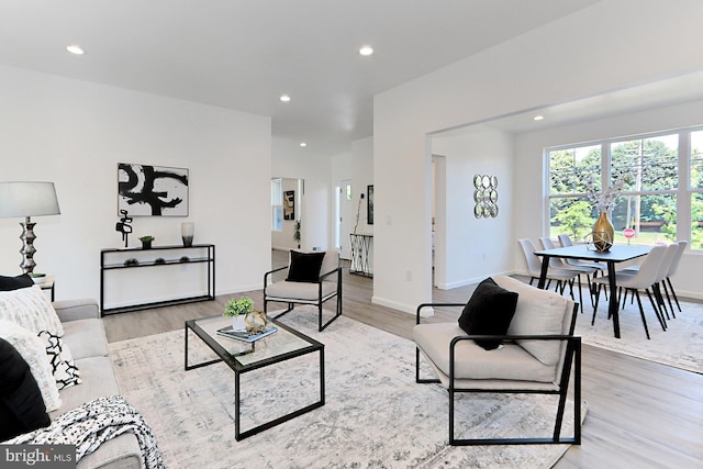 living room featuring light hardwood / wood-style flooring