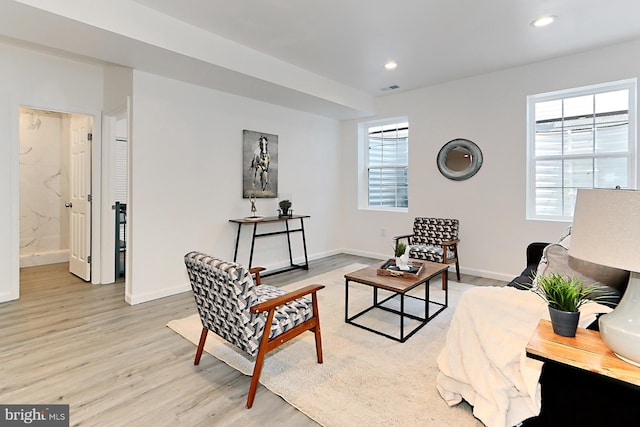 living room featuring light hardwood / wood-style flooring