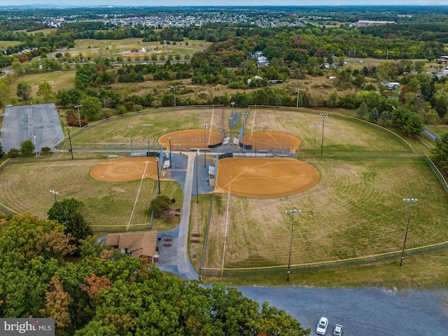 bird's eye view