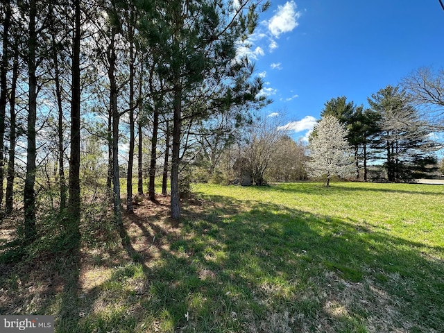 8320 Detour Rd, Denton MD, 21629 land for sale