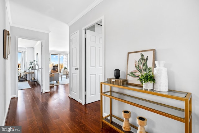 hall with ornamental molding and dark hardwood / wood-style floors