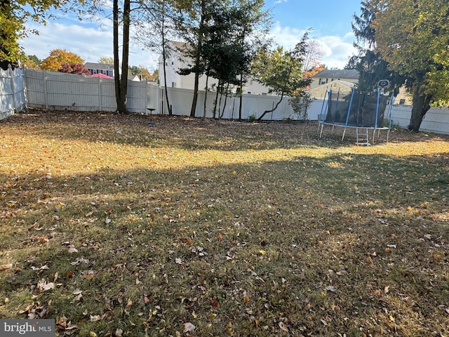 view of yard featuring a trampoline