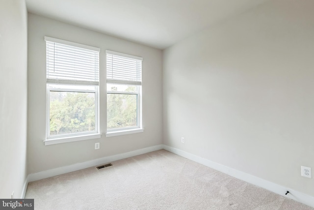 empty room featuring a wealth of natural light and light carpet