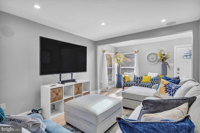 living room featuring hardwood / wood-style flooring