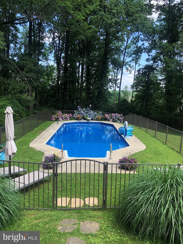 view of swimming pool with a yard