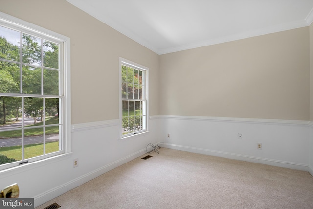 carpeted spare room featuring crown molding