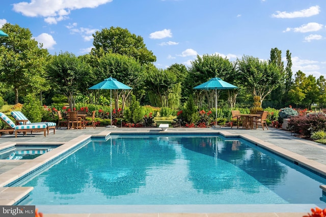 view of pool with a diving board and a patio