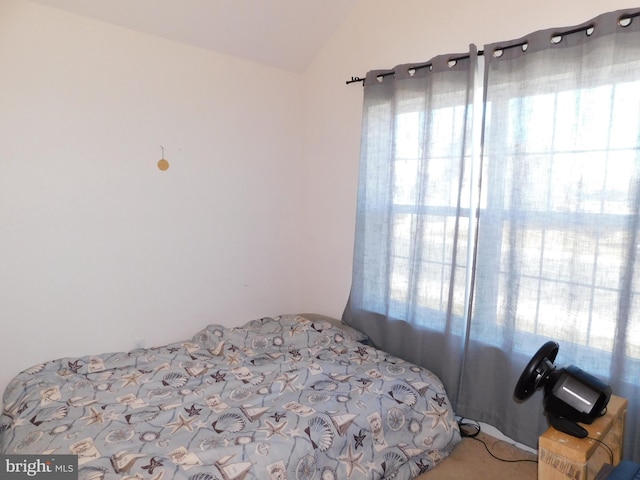 carpeted bedroom with multiple windows and lofted ceiling